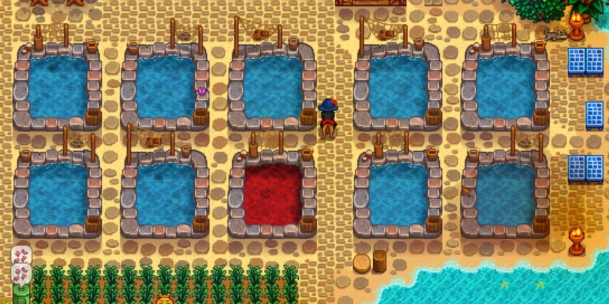 Fish Pond Stardew Valley